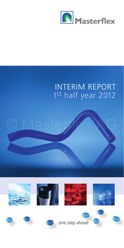 Miniature Masterflex Rapport semestriel 2012-h1
