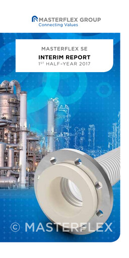 Miniature Masterflex Rapport semestriel 2017-h1