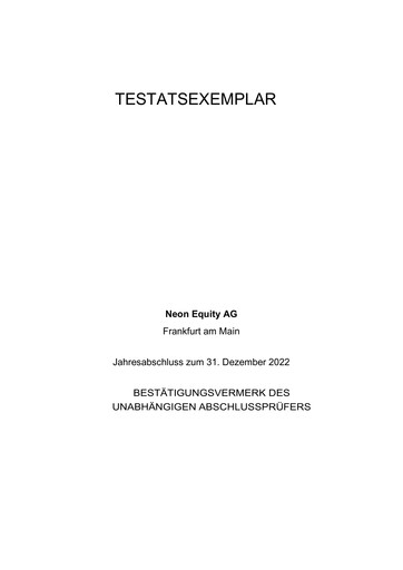 Miniature Neon Equity AG Bilan financier 2022