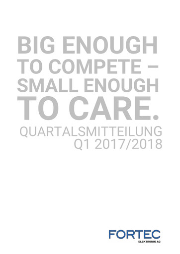 Thumbnail FORTEC Elektronik AG Quarterly Report 2017-q1