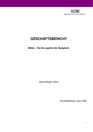 Thumbnail Müller - Die lila Logistik Financial Statement 2016