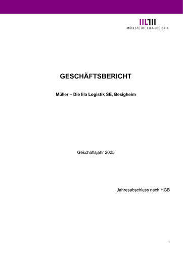 Miniature Müller - Die lila Logistik Bilan financier 2025