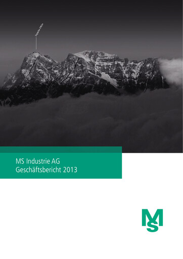 Vorschaubild MS Industrie Jahresbericht 2013