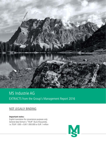 Thumbnail MS Industrie Annual Report 2016