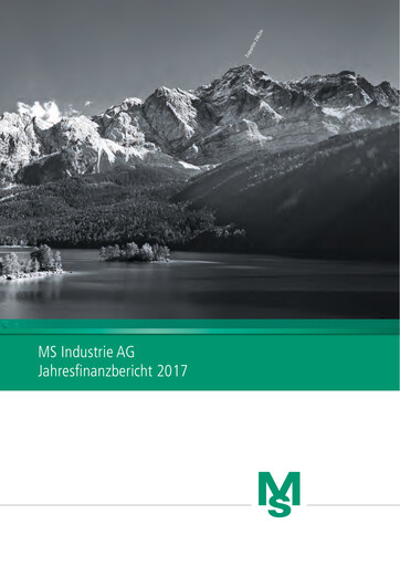 Miniature MS Industrie Rapport financier 2017