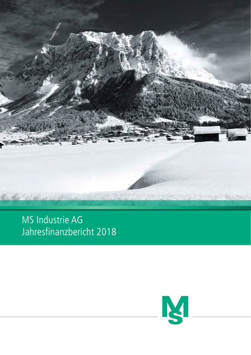 Miniature MS Industrie Rapport financier 2018