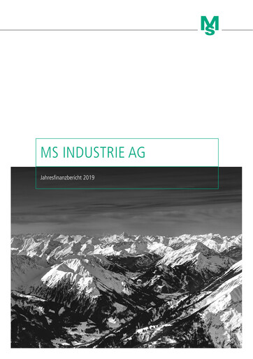Miniature MS Industrie Rapport financier 2019