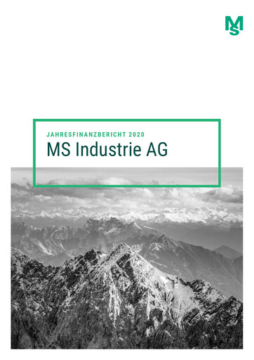 Miniature MS Industrie Rapport financier 2020