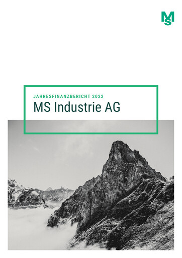 Miniature MS Industrie Rapport financier 2022
