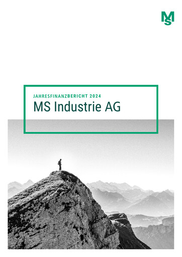 Miniature MS Industrie Rapport financier 2024