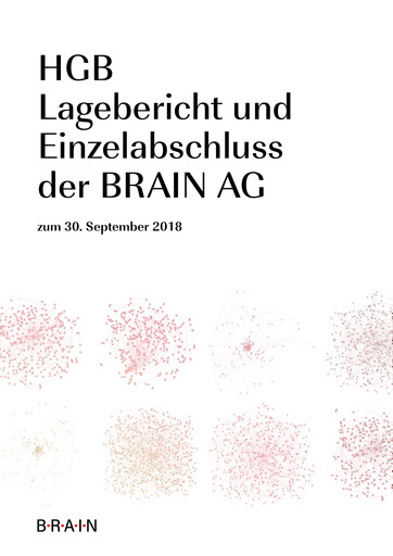 Miniature BRAIN Biotech Bilan financier 2017-2018