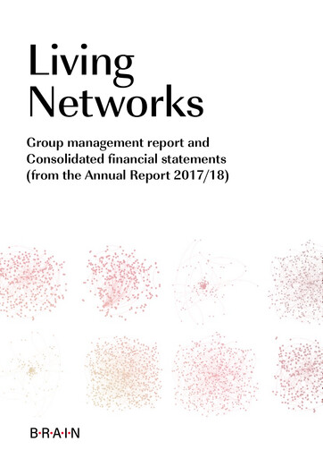 Thumbnail BRAIN Biotech Financial Statement 2017-2018