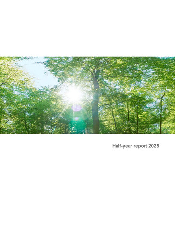 Thumbnail Delignit AG Half-year Report 2025-h1