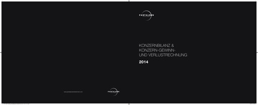 Thumbnail PAL Next AG Financial Statement 2014