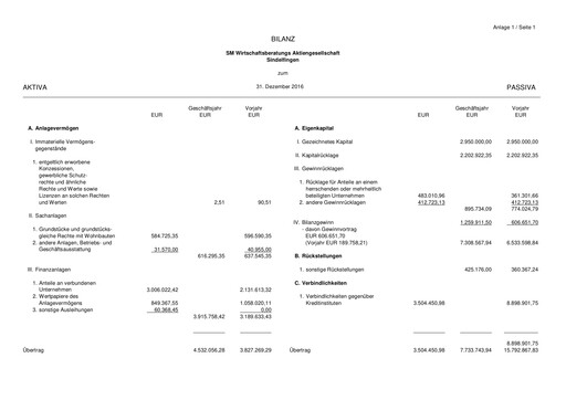 Thumbnail SM Wirtschaftsberatungs AG Financial Statement 2016