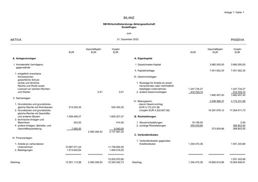 Thumbnail SM Wirtschaftsberatungs AG Financial Statement 2022