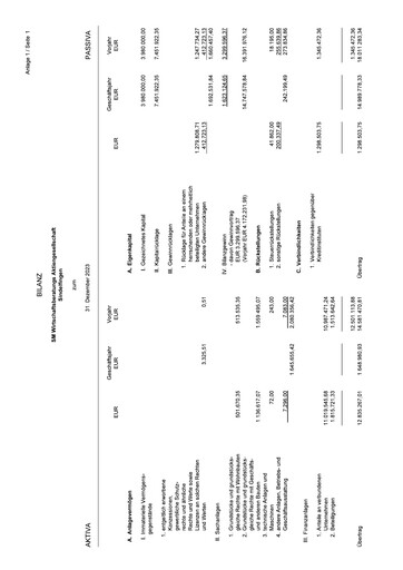 Thumbnail SM Wirtschaftsberatungs AG Financial Statement 2023