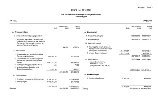 Thumbnail SM Wirtschaftsberatungs AG Financial Statement 2024