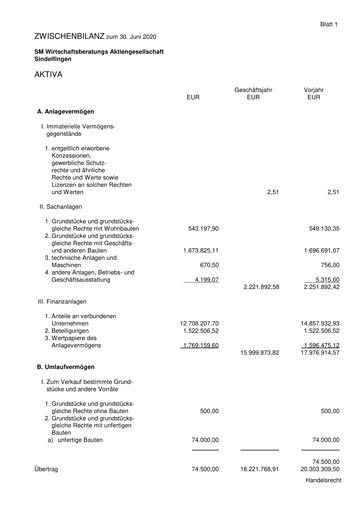 Vorschaubild SM Wirtschaftsberatungs AG Halbjahresbericht 2020-h1