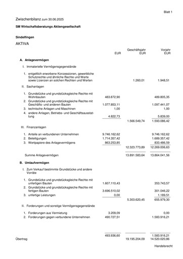 Vorschaubild SM Wirtschaftsberatungs AG Halbjahresbericht 2025-h1