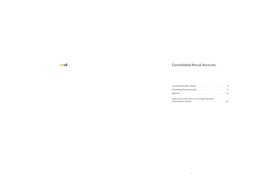 Thumbnail Repsol Financial Statement 2008