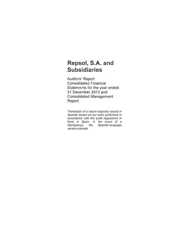 Thumbnail Repsol Financial Statement 2013