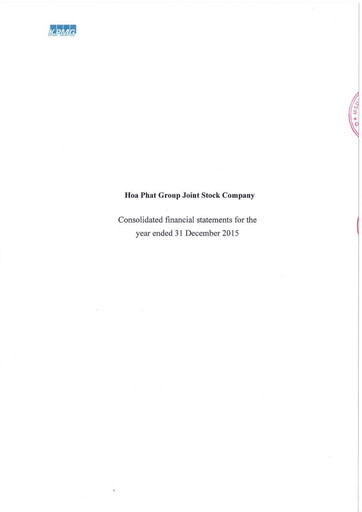 Thumbnail Hoa Phat Group Financial Statement 2015