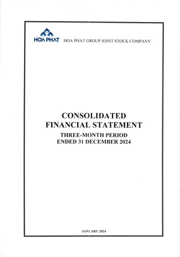 Thumbnail Hoa Phat Group Financial Statement 2024-q4