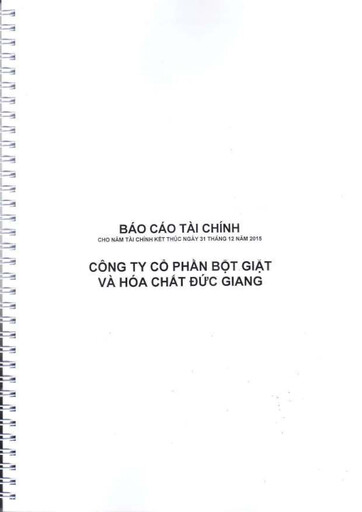Thumbnail Duc Giang Chemicals Group Financial Statement 2015