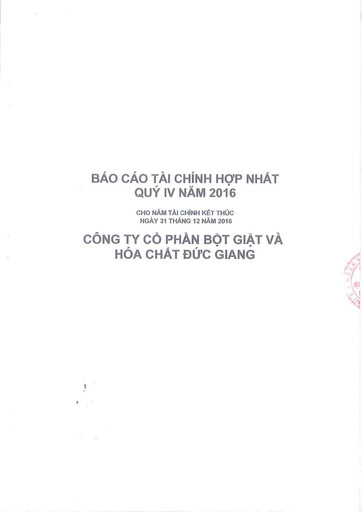 Thumbnail Duc Giang Chemicals Group Financial Statement 2016