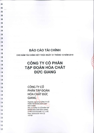 Thumbnail Duc Giang Chemicals Group Financial Statement 2019