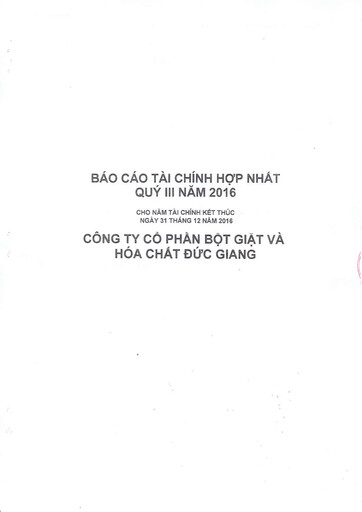 Thumbnail Duc Giang Chemicals Group Quarterly Report 2016-q3
