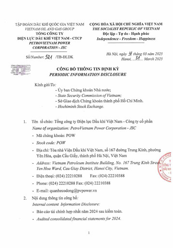 Thumbnail PetroVietnam Power Financial Statement 2024