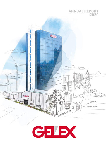 Miniature GELEX Group Joint Stock Company Rapport annuel 2020