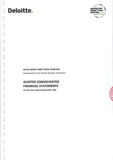 Miniature GELEX Group Joint Stock Company Bilan financier 2022