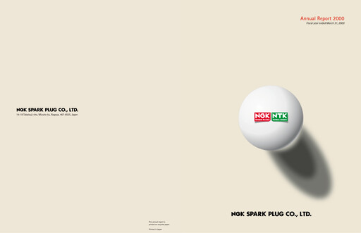 Miniature Niterra Rapport annuel 2000