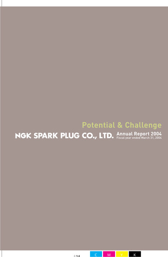 Miniature Niterra Rapport annuel 2004