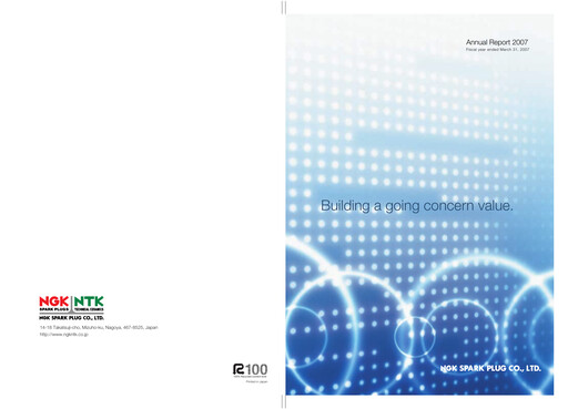 Miniature Niterra Rapport annuel 2007