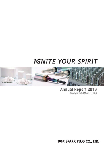 Miniature Niterra Rapport annuel 2016