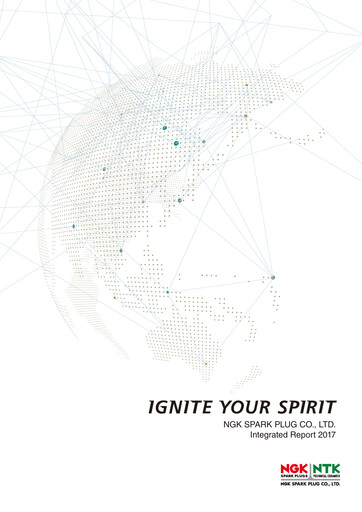 Miniature Niterra Rapport annuel 2017