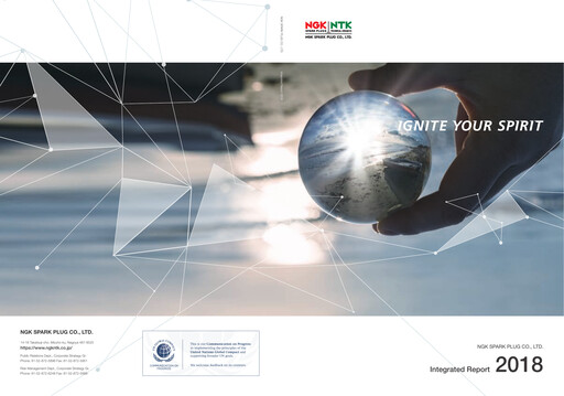 Miniature Niterra Rapport annuel 2018