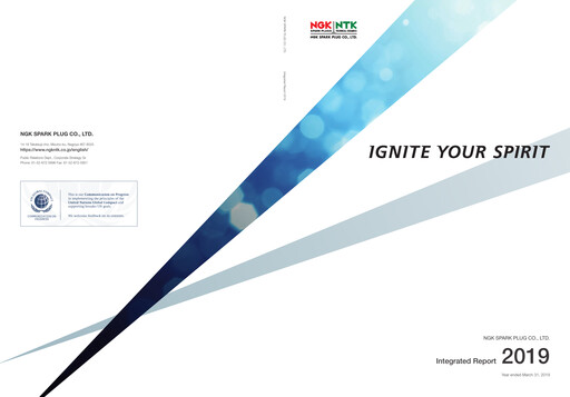 Miniature Niterra Rapport annuel 2019