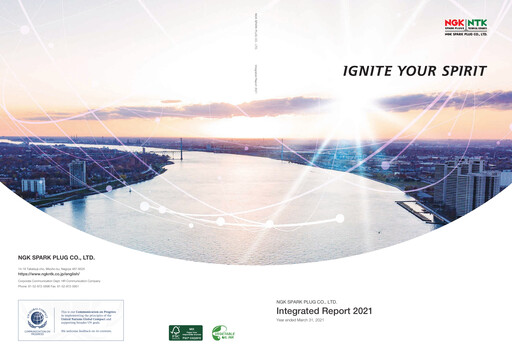 Miniature Niterra Rapport annuel 2021