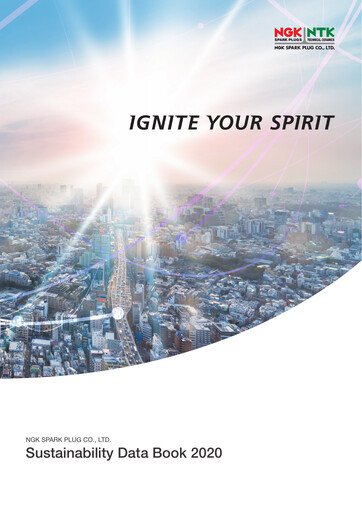 Vorschaubild Niterra Nachhaltigkeitsbericht 2020