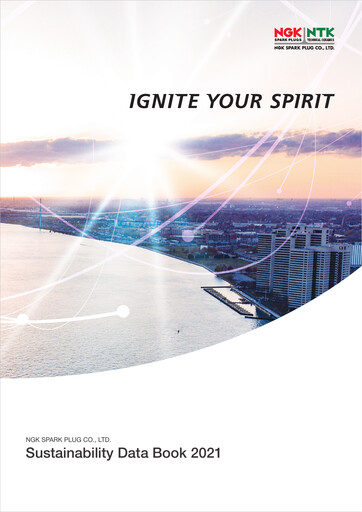 Vorschaubild Niterra Nachhaltigkeitsbericht 2021