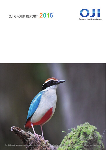 Vorschaubild Oji Holdings Jahresbericht 2016