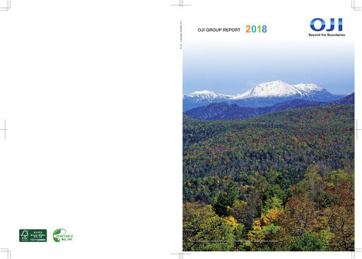 Vorschaubild Oji Holdings Jahresbericht 2018