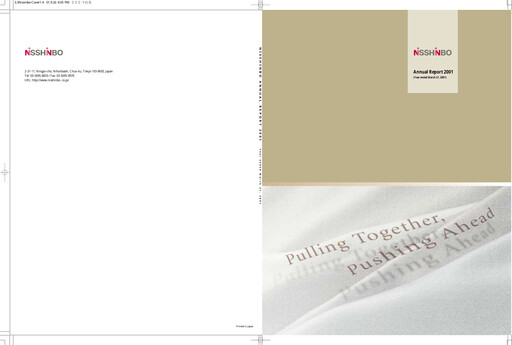 Thumbnail Nisshinbo Holdings Annual Report 2001