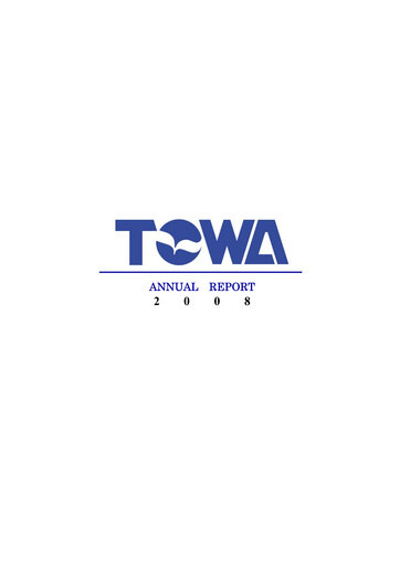 Thumbnail TOWA Corporation Financial Statement 2008