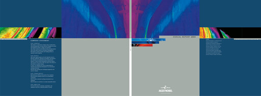 Thumbnail AkzoNobel
 Annual Report 2001